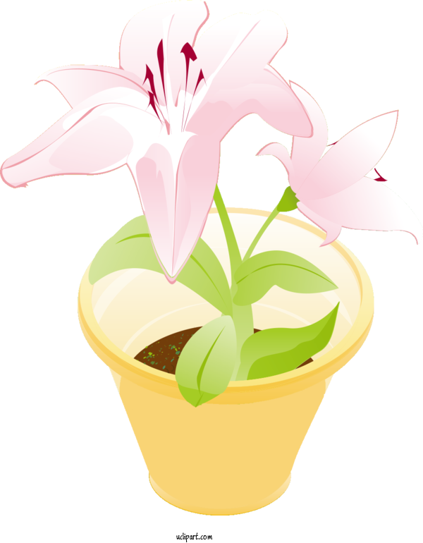 Free Flowers Flower Flowerpot Free For Lily Clipart Transparent Background