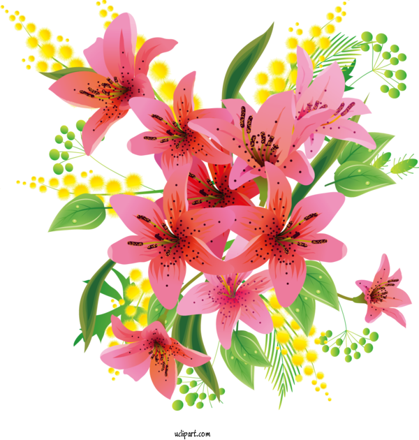 Free Flowers Blog Lily Design For Lily Clipart Transparent Background
