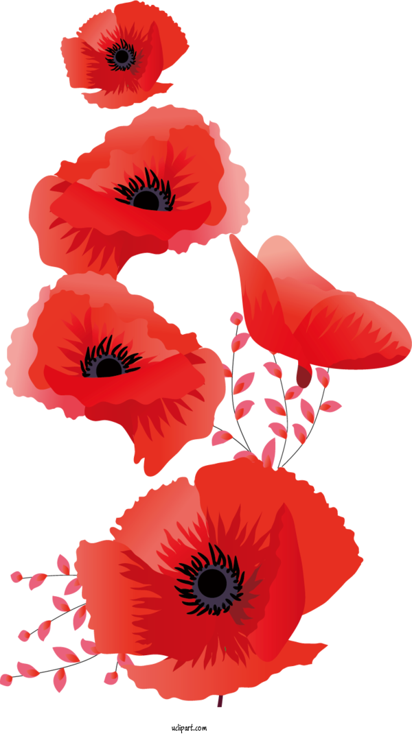 Free Flowers Mansae Clothing Fashion For Poppy Flower Clipart Transparent Background