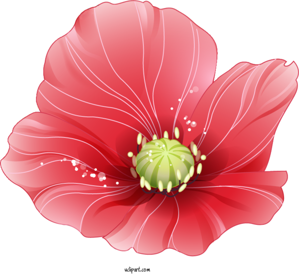 Free Flowers Watercolor Painting Estas Aqui Blog For Poppy Flower Clipart Transparent Background