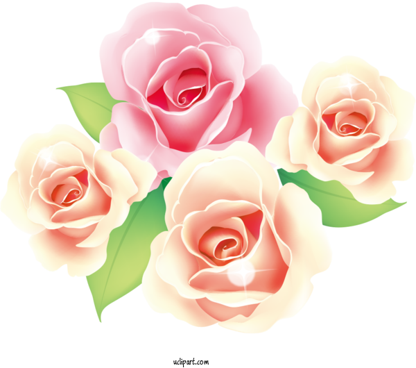 Free Flowers Transparency Rose Flower For Rose Clipart Transparent Background