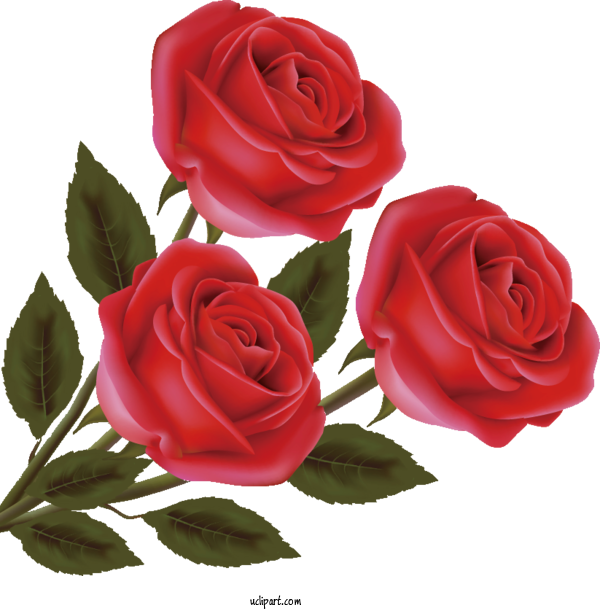 Free Flowers Valentine's Day Heart Royalty Free For Rose Clipart Transparent Background