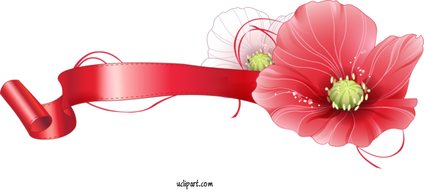 Free Flowers Message Icon Transparency For Poppy Flower Clipart Transparent Background