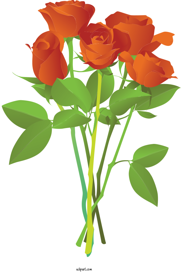 Free Flowers Valentine's Day Flower Bouquet Rose For Rose Clipart Transparent Background