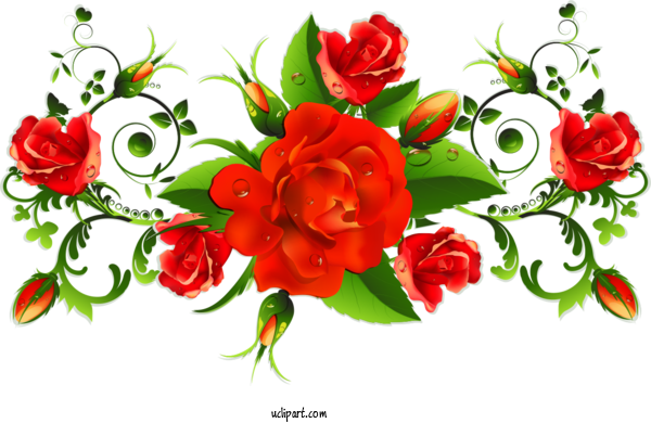 Free Flowers International Women's Day March 8 For Rose Clipart Transparent Background