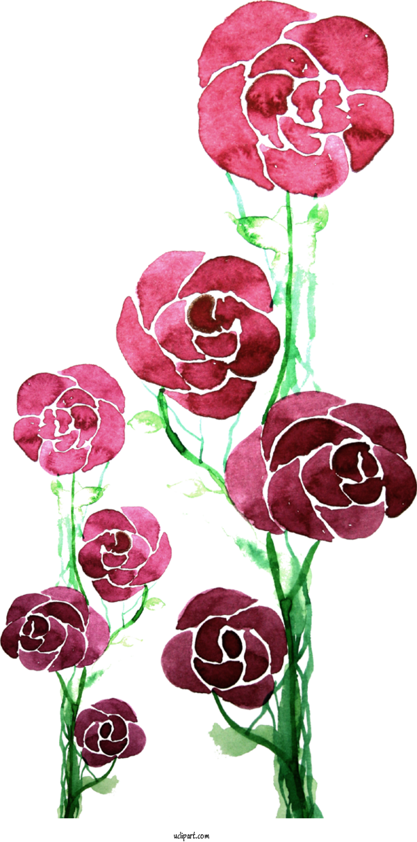 Free Flowers Flower Rose Flower Bouquet For Rose Clipart Transparent Background