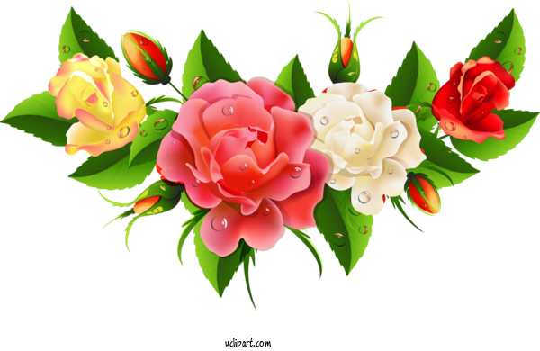 Free Flowers Flower Floral Design Flower Bouquet For Rose Clipart Transparent Background