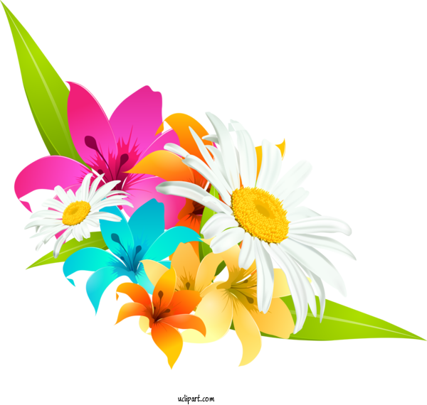 Free Flowers Flower Floral Design Cut Flowers For Lily Clipart Transparent Background