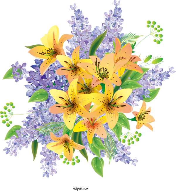 Free Flowers Toyo Eiwa University Flower Design For Lily Clipart Transparent Background