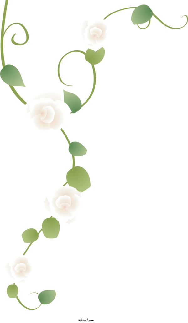 Free Flowers Petal Plant Stem Floral Design For Rose Clipart Transparent Background
