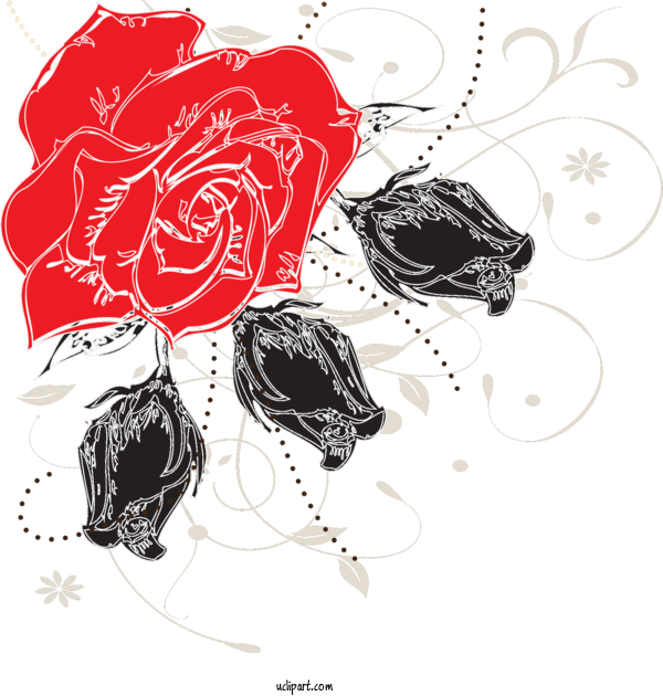 Free Flowers Drawing Design Abstract Art For Rose Clipart Transparent Background