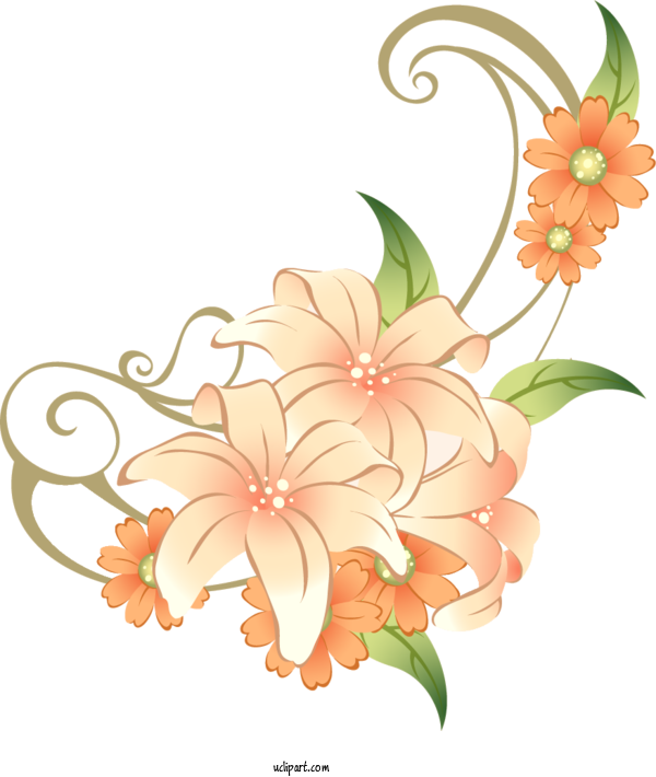 Free Flowers Floral Design Lily Blog For Lily Clipart Transparent Background