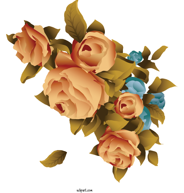 Free Flowers Garden Roses Rose Floral Design For Rose Clipart Transparent Background