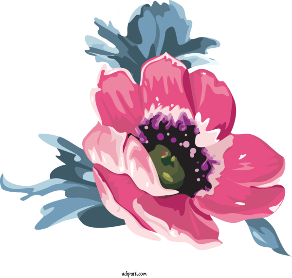 Free Flowers Floral Design Design Purple For Poppy Flower Clipart Transparent Background