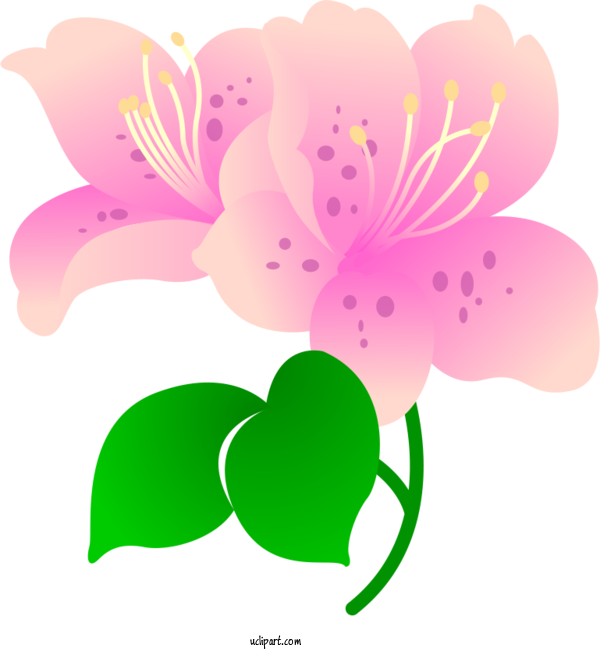 Free Flowers Design Blog Vector For Lily Clipart Transparent Background