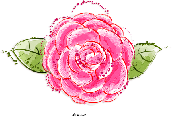 Free Flowers Garden Roses Flower Floral Design For Rose Clipart Transparent Background