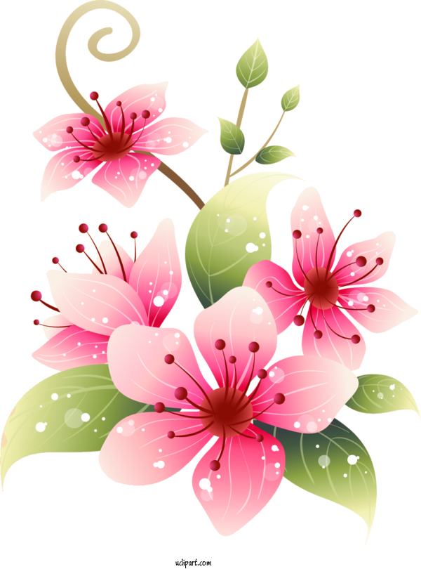 Free Flowers Onam Malayalam Festival For Lily Clipart Transparent Background