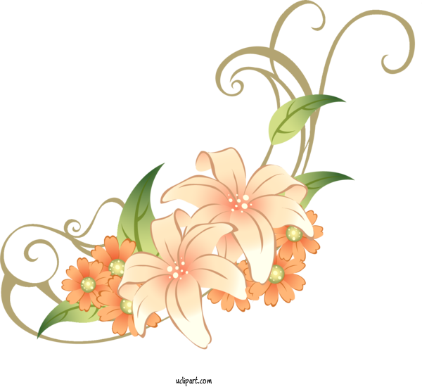 Free Flowers Drawing Design Motif For Lily Clipart Transparent Background
