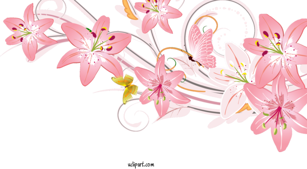 Free Flowers Floral Design Sketch Flower For Lily Clipart Transparent Background