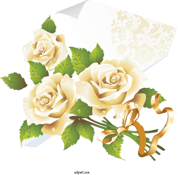 Free Flowers Congratulations Tatiana Day Birthday For Rose Clipart Transparent Background