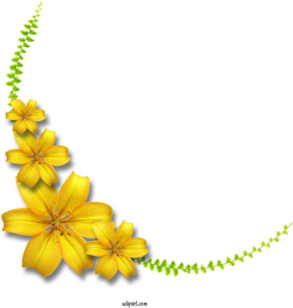 Free Flowers Petal Cut Flowers Flower For Lily Clipart Transparent Background