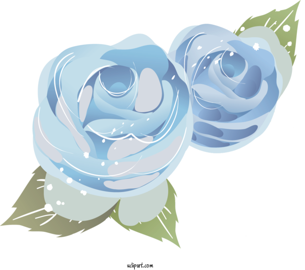 Free Flowers Floral Design Flower Design For Rose Clipart Transparent Background