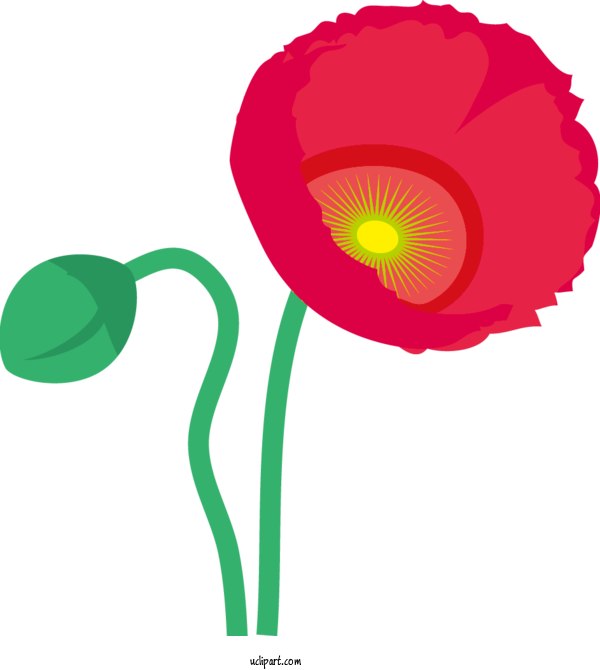 Free Flowers Petal Plant Stem Leaf For Poppy Flower Clipart Transparent Background
