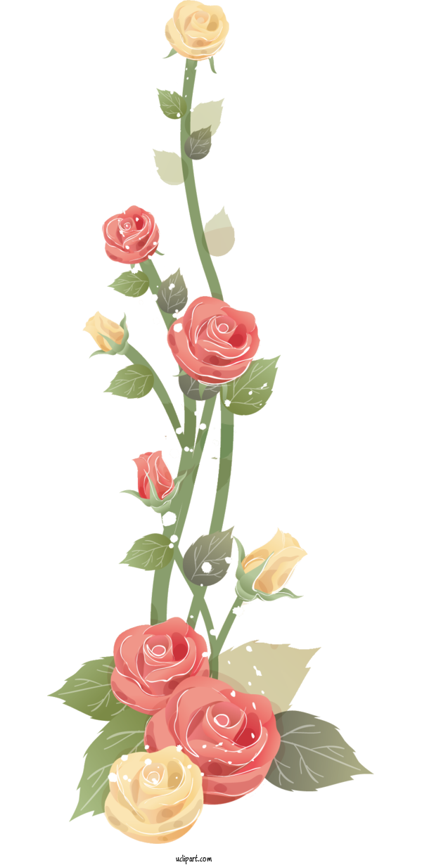 Free Flowers Mother's Day Floral Design Flower For Rose Clipart Transparent Background
