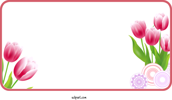 Free Flowers Educational Entrance Examination Tulip Learning For Tulip Clipart Transparent Background