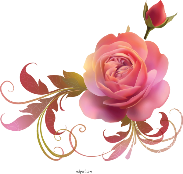 Free Flowers Drawing Design For Rose Clipart Transparent Background