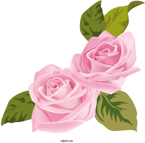 Free Flowers Design Painting Drawing For Rose Clipart Transparent Background