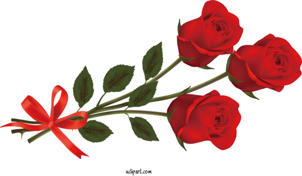 Free Flowers Transparency Blog Rose For Rose Clipart Transparent Background