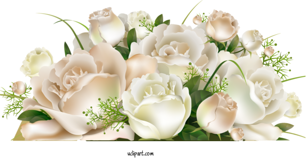 Free Flowers Flower Bouquet Rose Flower For Rose Clipart Transparent Background