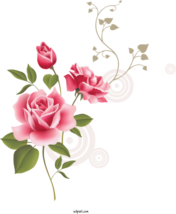 Free Flowers Rose Transparency Icon For Rose Clipart Transparent Background