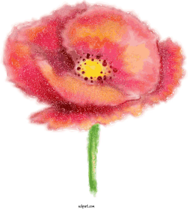Free Flowers Watercolor Painting Painting Ink Wash Painting For Poppy Flower Clipart Transparent Background
