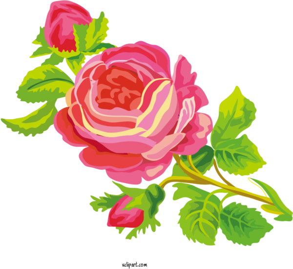 Free Flowers Rose Flower Transparency For Rose Clipart Transparent Background