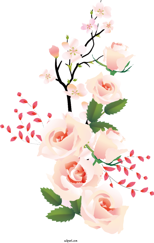Free Flowers Garden Roses Flower GIF For Rose Clipart Transparent Background