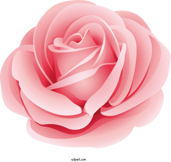 Free Flowers Rose Garden Roses Flower Bouquet For Rose Clipart Transparent Background