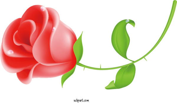 Free Flowers Design Pixel Adobe Illustrator For Rose Clipart Transparent Background