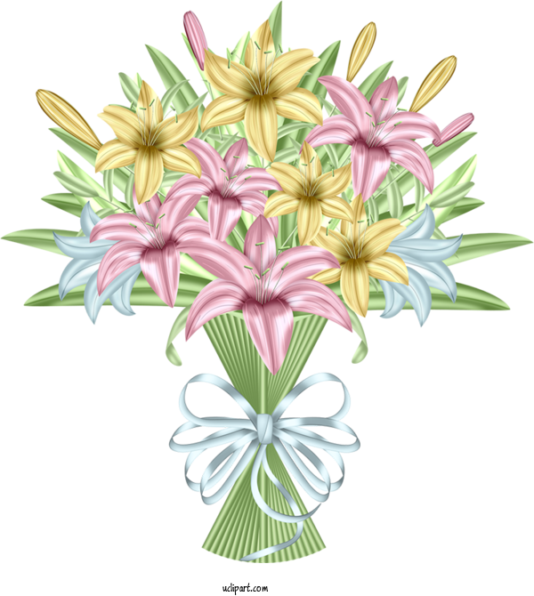 Free Flowers Cartoon Lily Floral Design For Lily Clipart Transparent Background