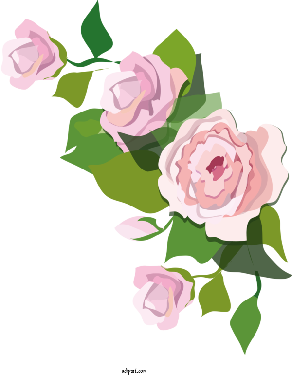 Free Flowers Design Rose Blog For Rose Clipart Transparent Background