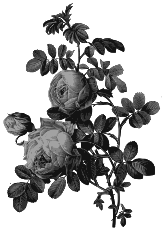 Free Family Black And White Plant Flower Clipart Clipart Transparent Background