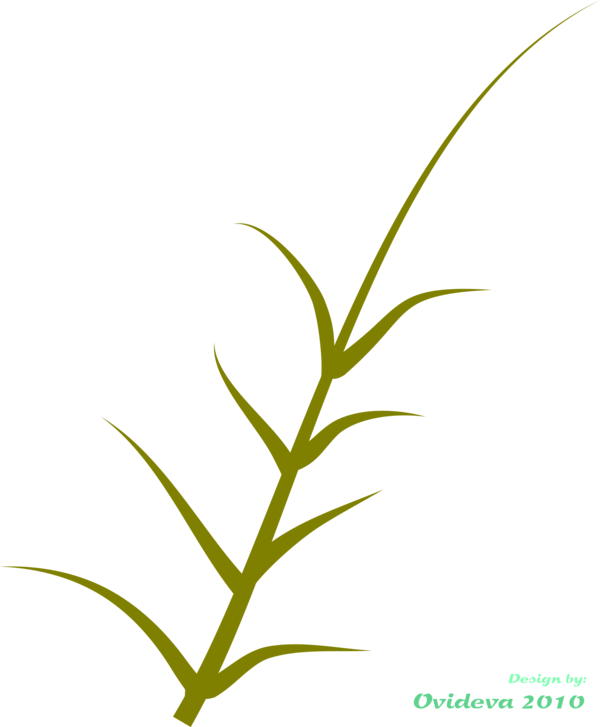 Free Family Plant Leaf Grass Family Clipart Clipart Transparent Background