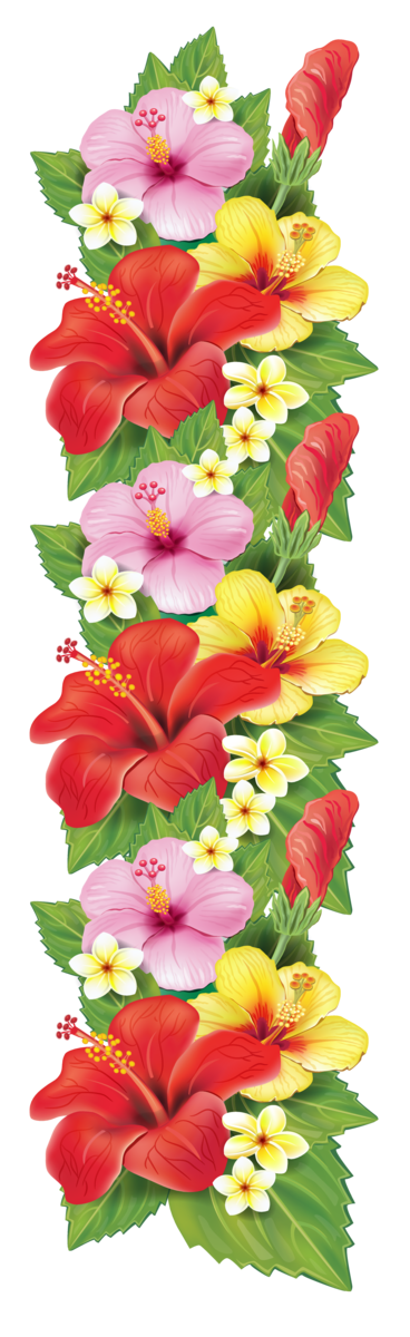 Free Family Flower Cut Flowers Flower Arranging Clipart Clipart Transparent Background