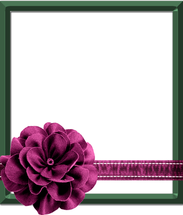 Free Family Flower Cut Flowers Magenta Clipart Clipart Transparent Background