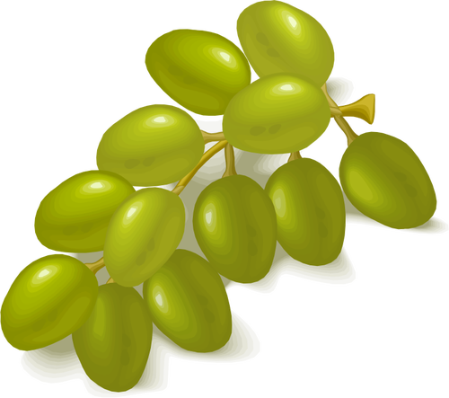 Free Family Fruit Food Grape Clipart Clipart Transparent Background