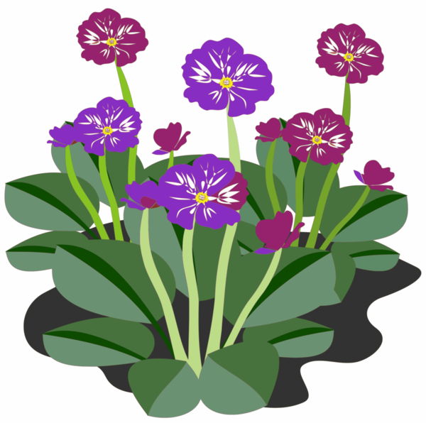 Free Family Flower Plant Violet Clipart Clipart Transparent Background
