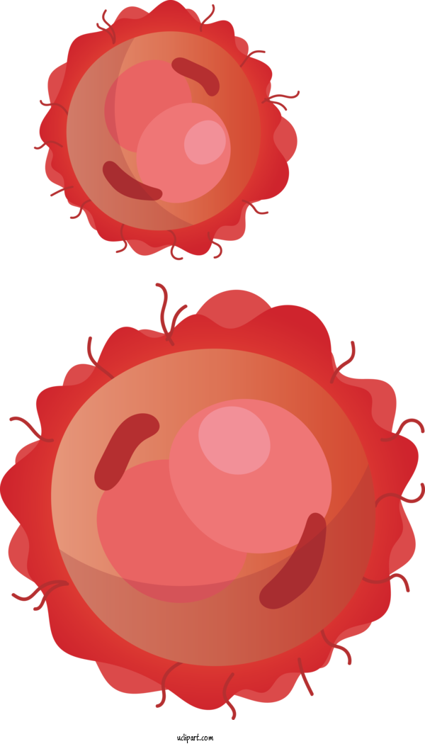 Free Medical Petal Rose Fruit For Virus Clipart Transparent Background