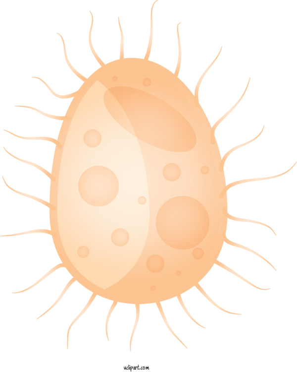 Free Medical Egg Egg Close Up For Virus Clipart Transparent Background