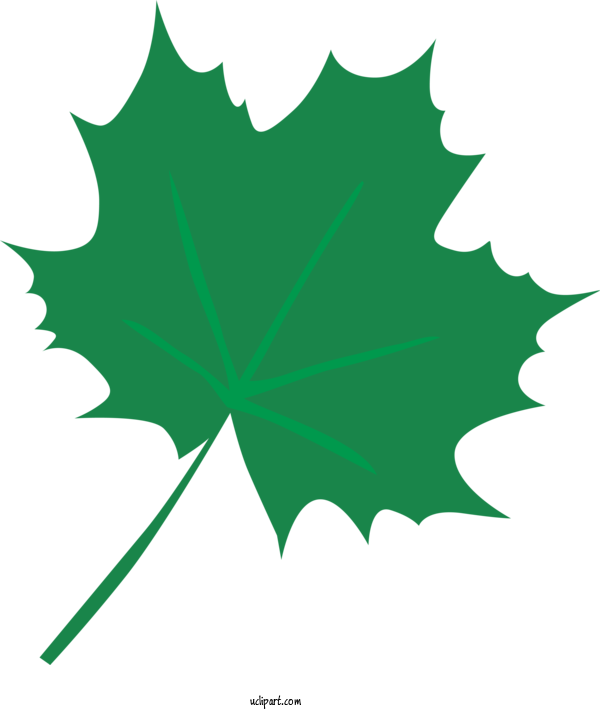 Free Nature Leaf Sugar Maple Tree For Leaf Clipart Transparent Background